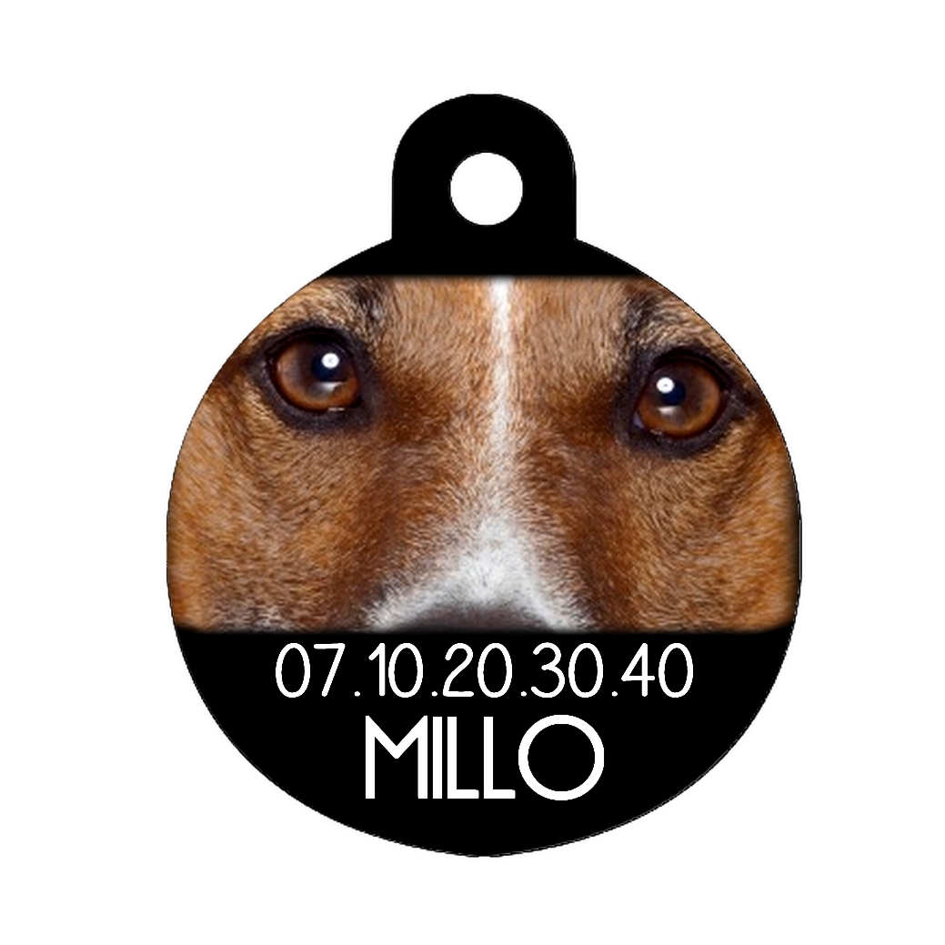 Médaille chien Jack russel personnalisée avec nom et numéro de téléphone