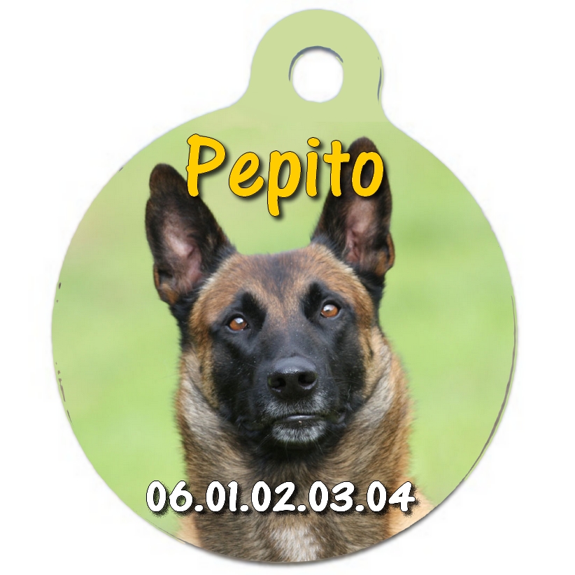 Médaille chien Malinois personnalisée avec nom et numéro de téléphone