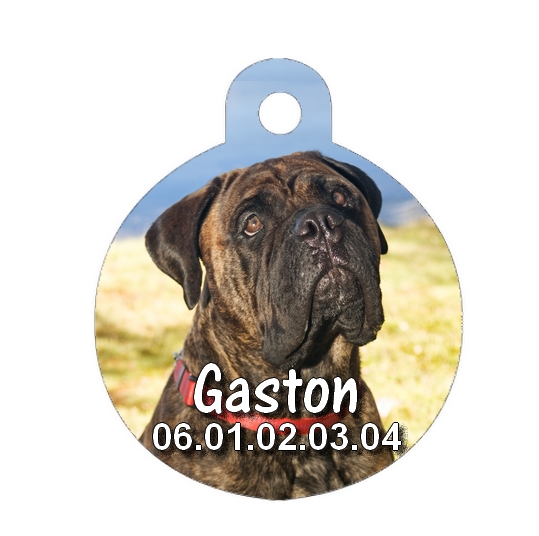Médaille chien Mastiff personnalisée avec nom et numéro de téléphone