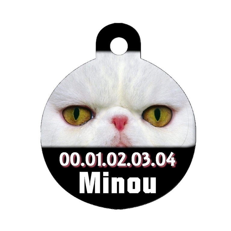 Medaille Pour Chat Persan Personnalisee Avec Nom Et Numero De Telephone Chat Medaille Chat Mimi Cadeau