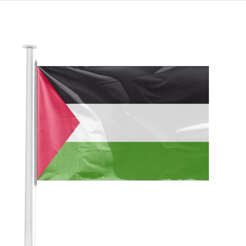 drapeau-pays-palestine