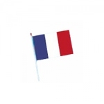 Lot de 100 drapeaux France 10x15 cm