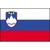 Handball Slovenie
