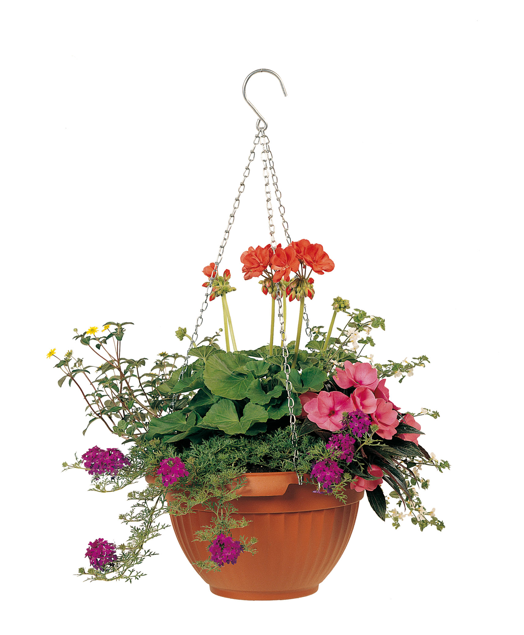 Pots de fleurs et suspensions
