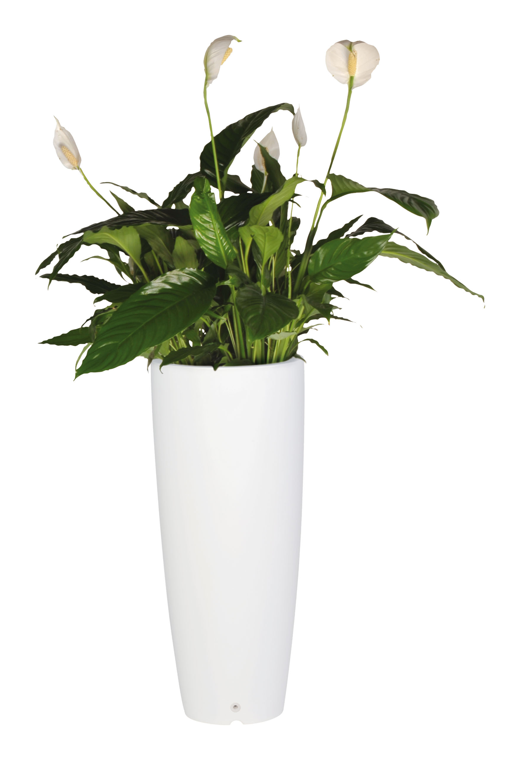 Pot de fleur design - coloris blanc - Poterie/Pots de fleurs