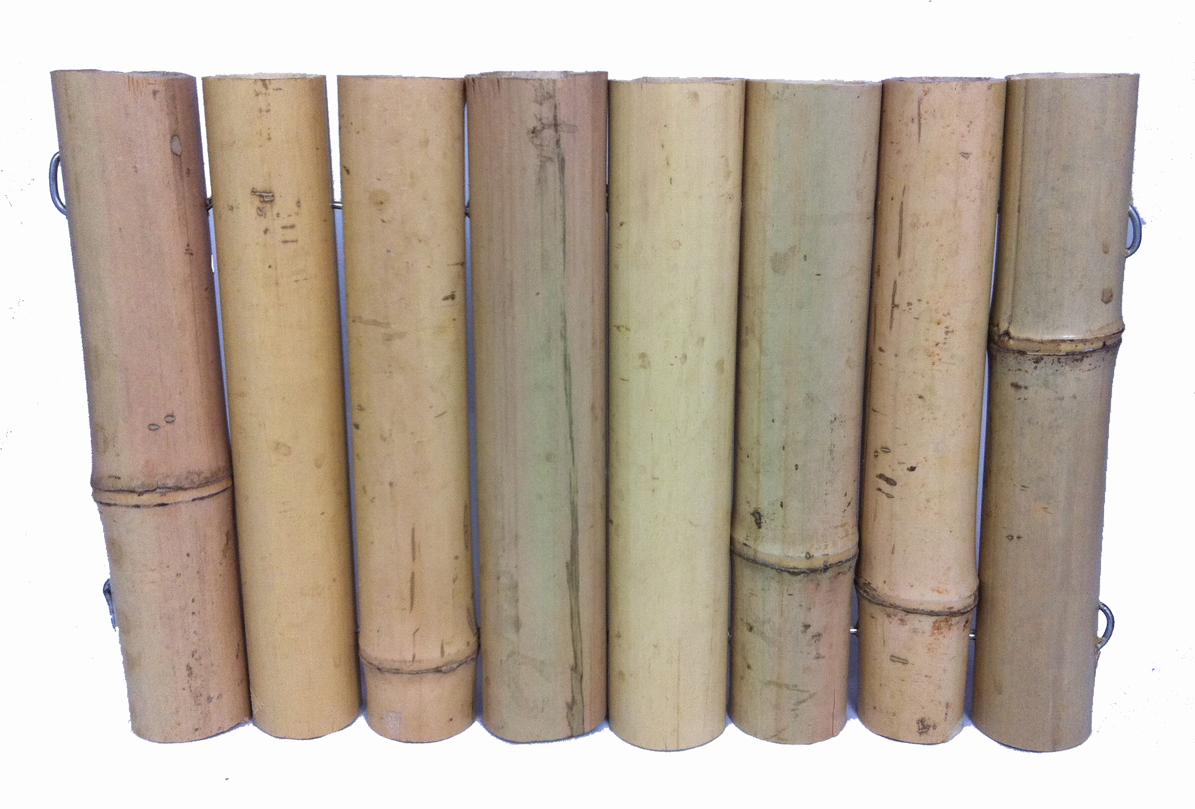  Canisse  Bambou  EPAIS Diam 3 3 5 cm Jardin Canisse  