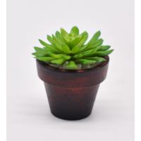 Lot de 5 petits pots plante artificielle - Ø 6 x H 6