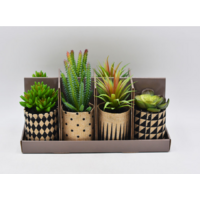 Lot de 8 plantes artificielles assorties - Style cactés - Ø 8 x H 12