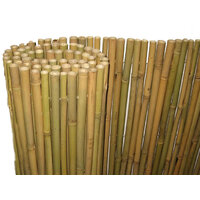 Canisse Bambou EPAIS - Diam env. 1,5 cm