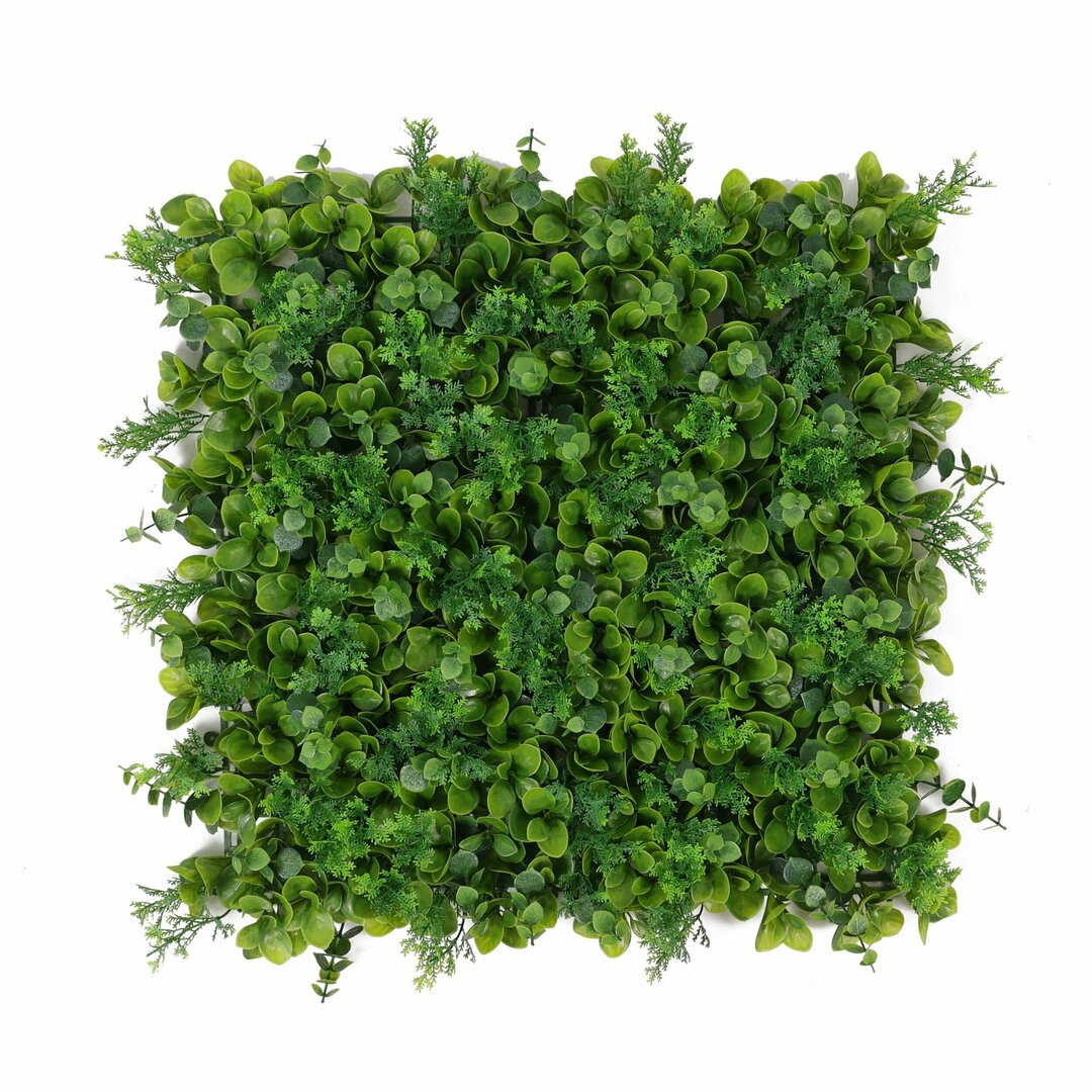 MURVEGETAL14