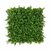 MURVEGETAL14
