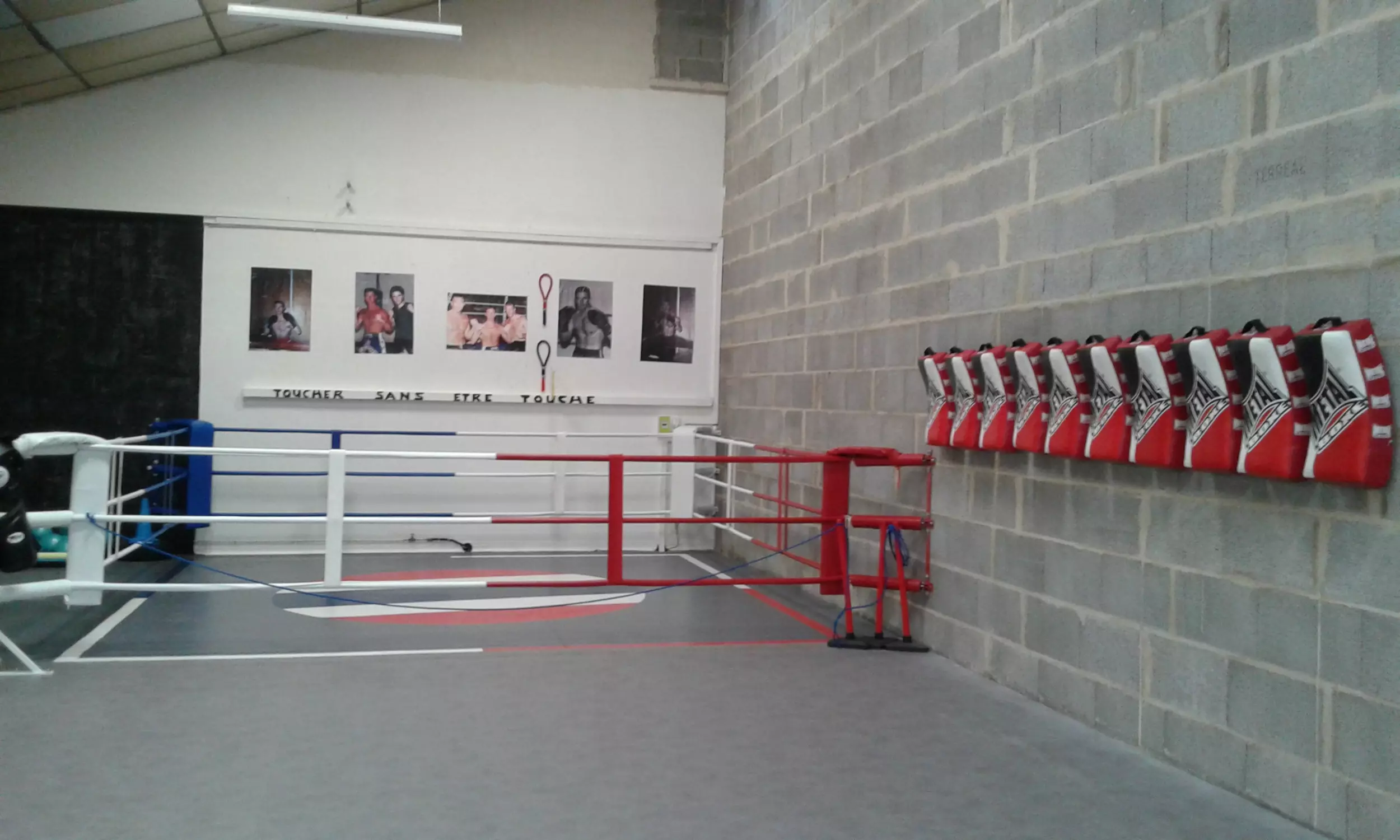 ring_de_boxe_mural