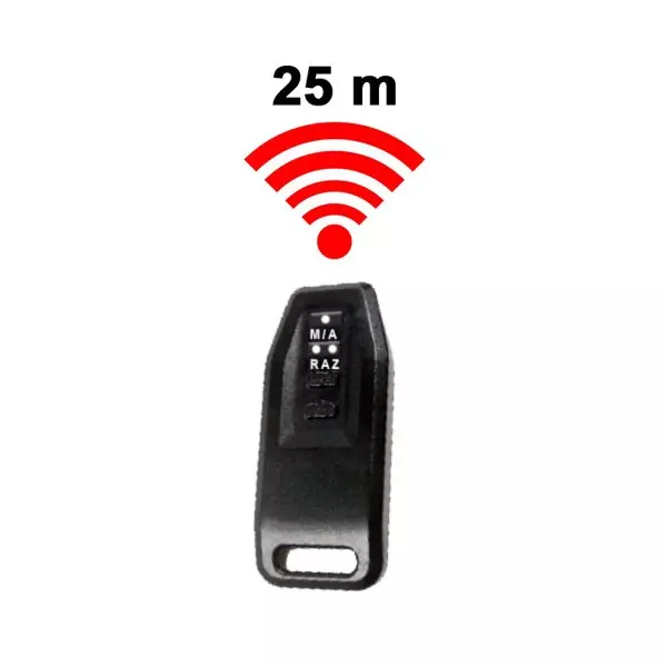 Télécommande sans fil pendule de boxe