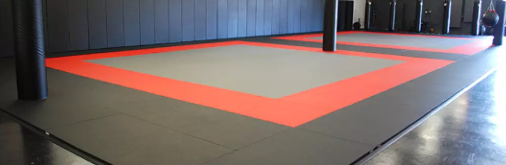 Tatamis MMA vinyle lisse