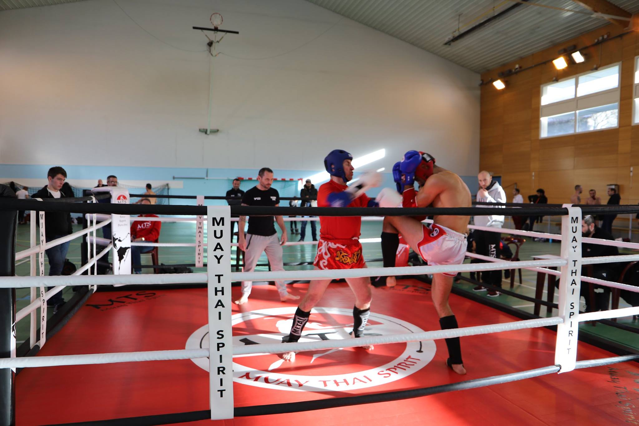 Ring de boxe training sur podium de 10 cm - Ring/Ring de boxe - lecoinduring