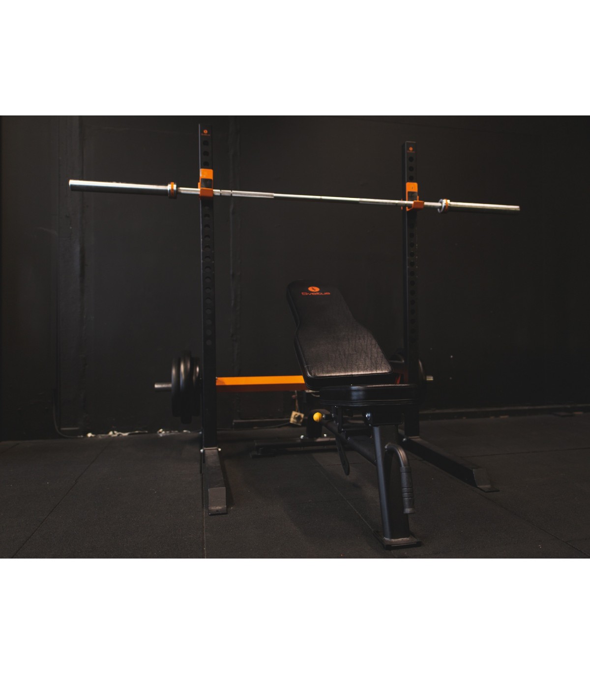 half-rack-sveltus-4
