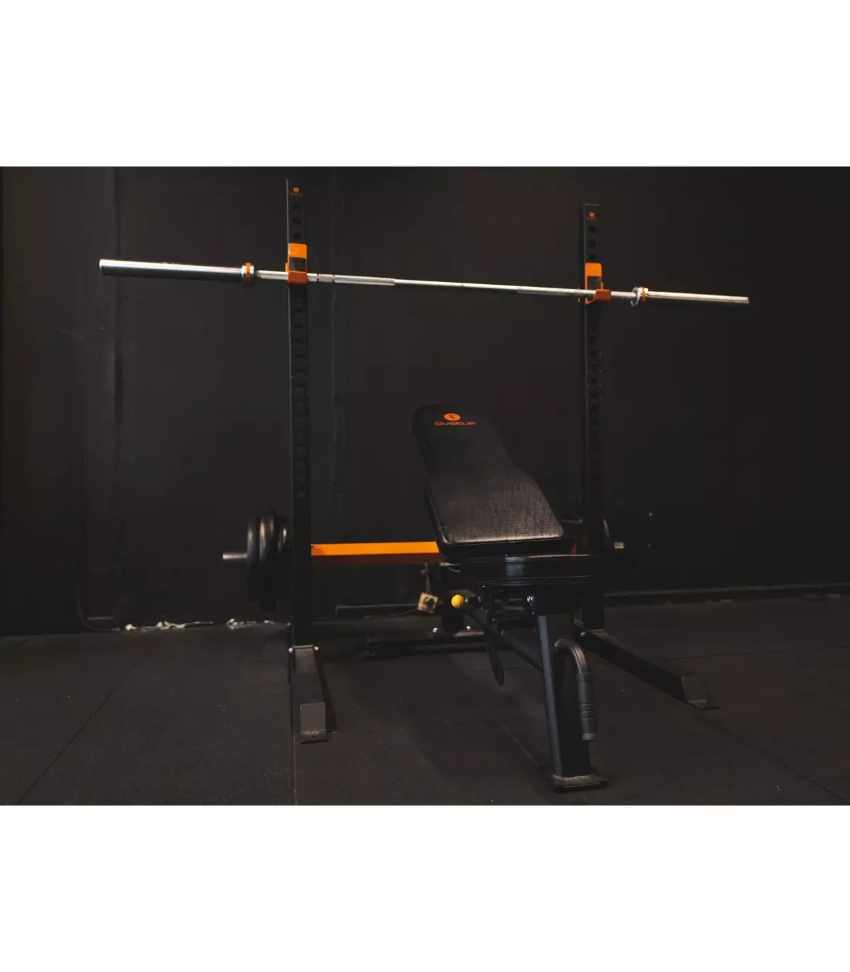 half-rack-sveltus-4