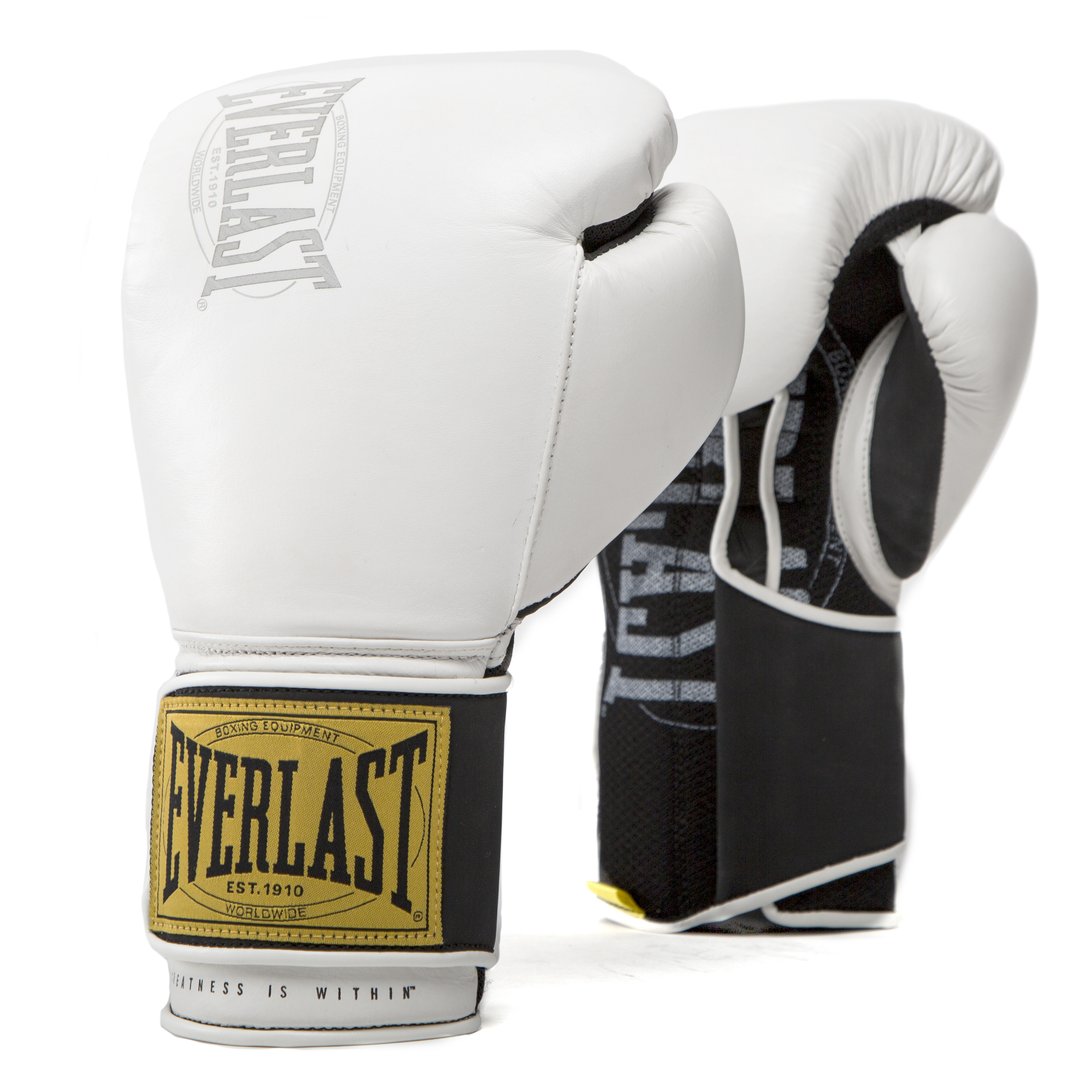 Everlast Unisex Pro Styling Elite Gants De Boxe Entraînement : :  Sports et Loisirs