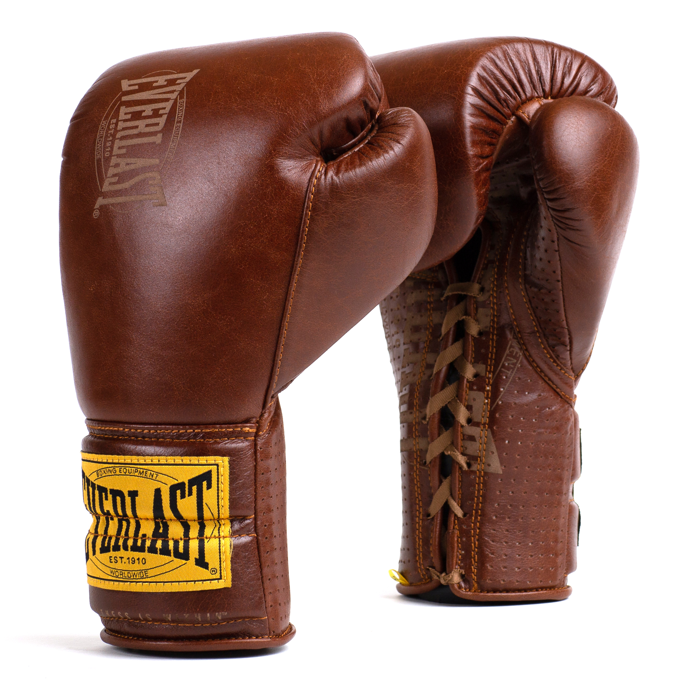 Everlast Gants de boxe Everlast lecoinduring