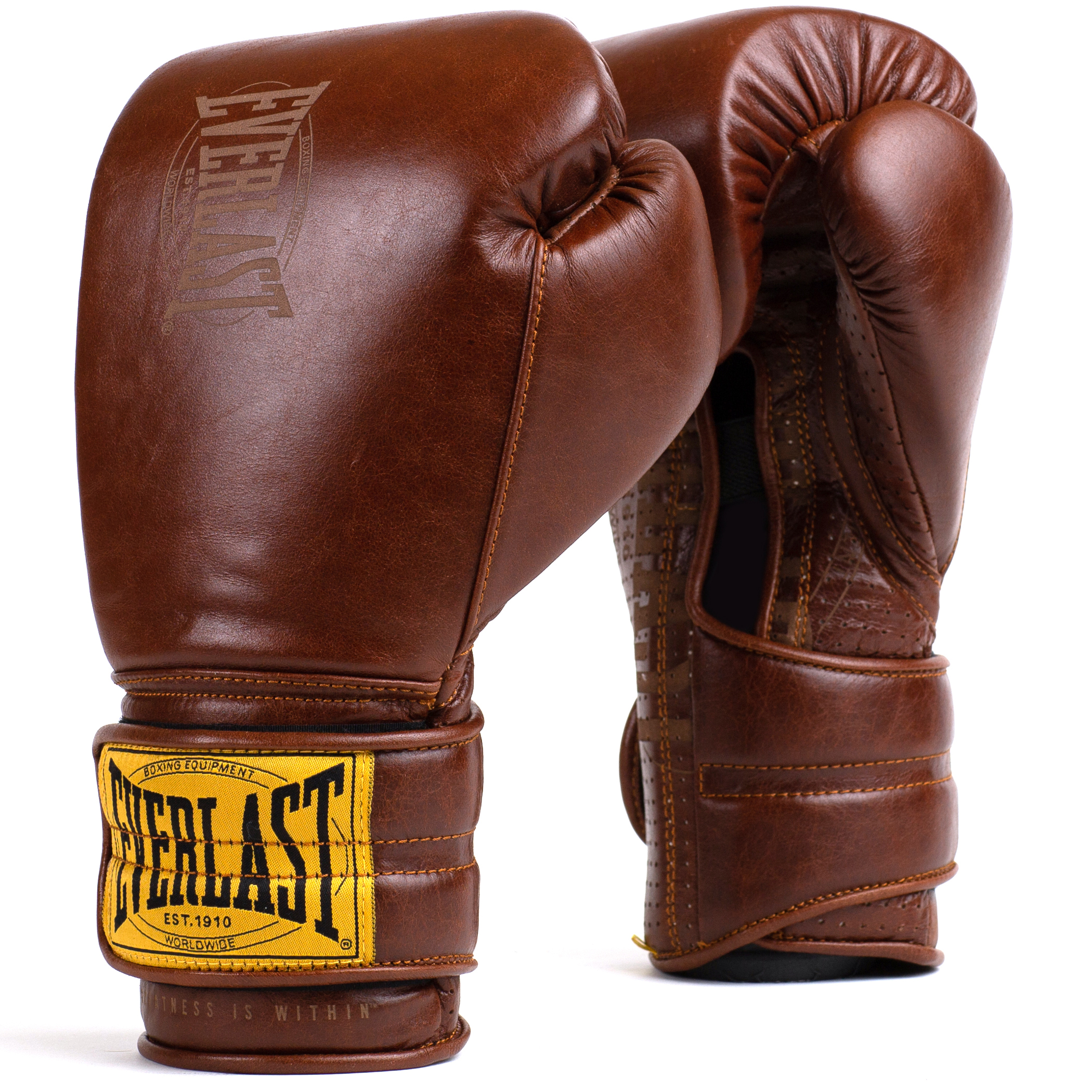 Gants de boxe Everlast 1910 Pro sparring