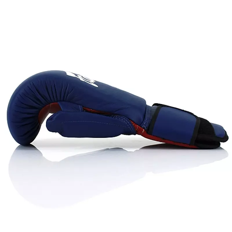 gants-fairtex-de-professeur