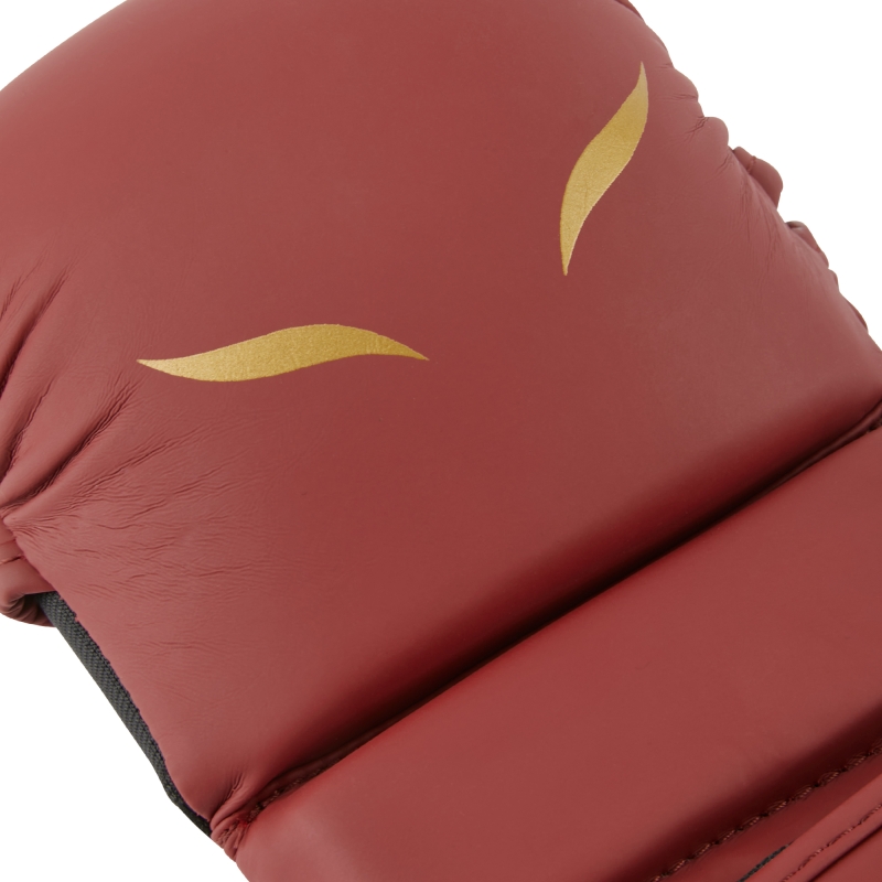 gants-de-sparring-mma-elion-bordeaux-5