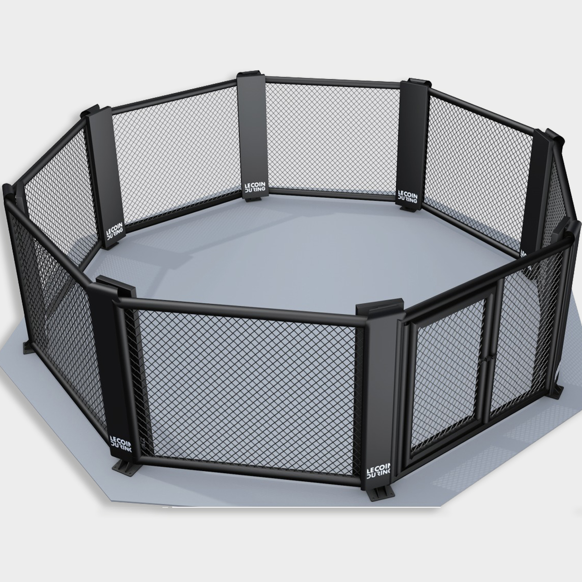 Cage de MMA - training