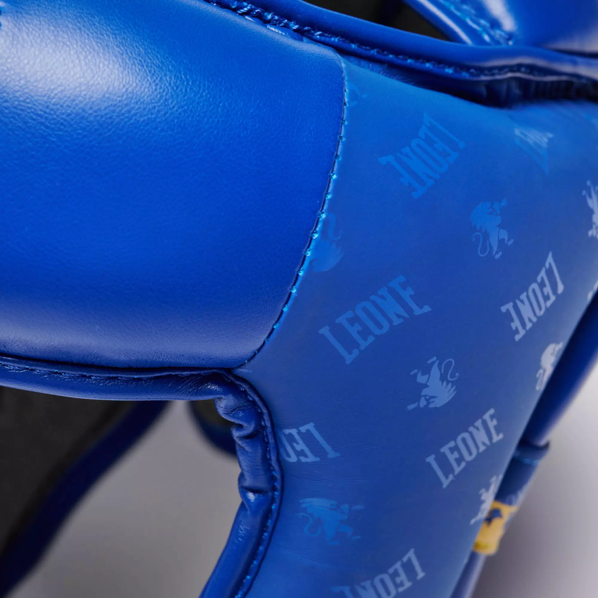 casque-boxe-dna-leone-bleu