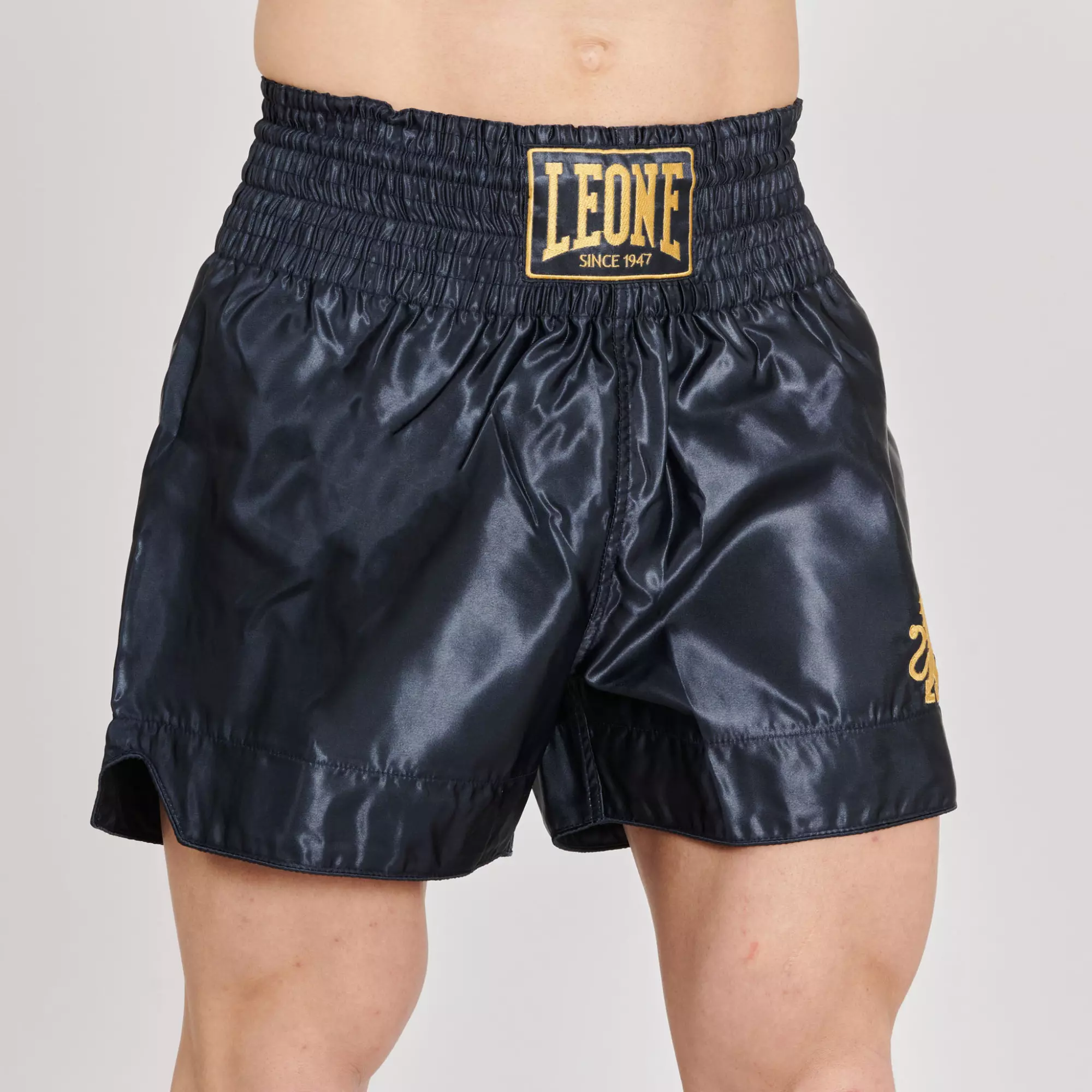 short-kickboxing-leone-classic-bleu