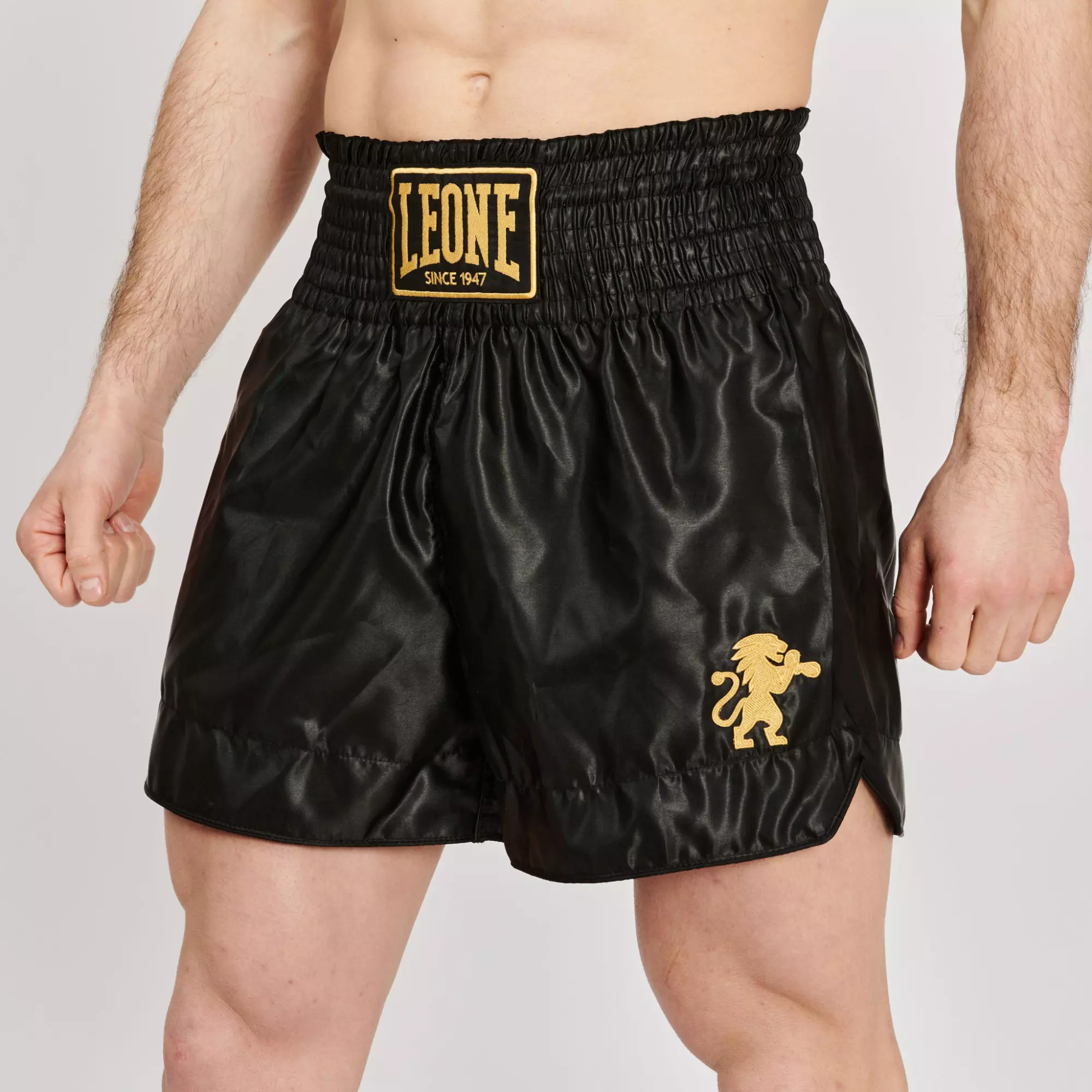 short-de-boxe-leone-classic-noir