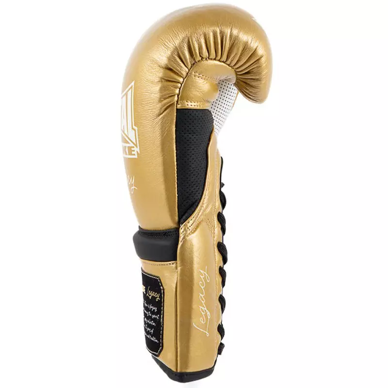 gant-de-boxe-metal-boxe-legacy-horse-or-blanc