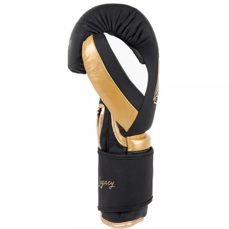 gant-sparring-metal-boxe-legacy-mbg403n