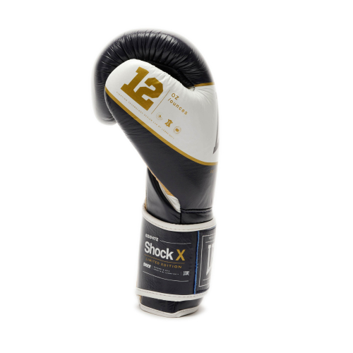 gants-de-boxe-leone-shock-bleu