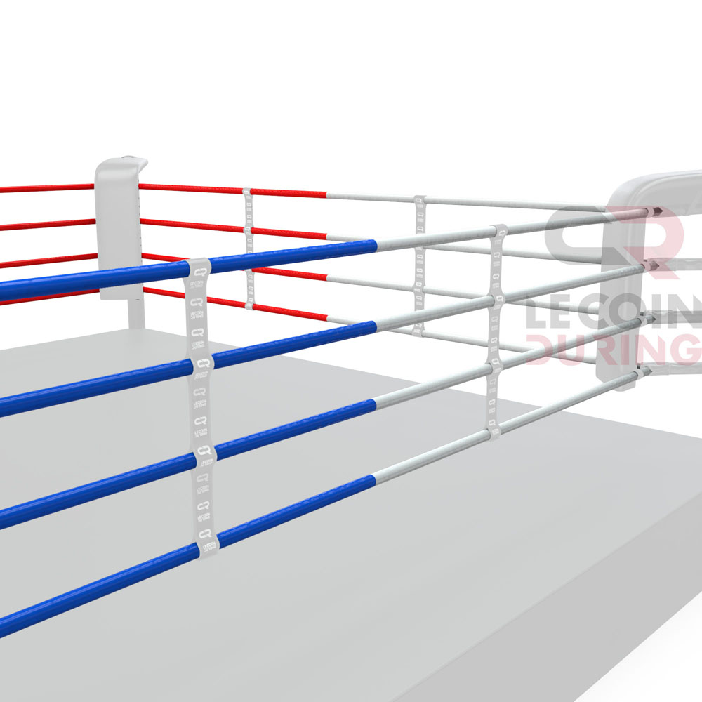 Ring de boxe- zoom sur cordes (couleur)