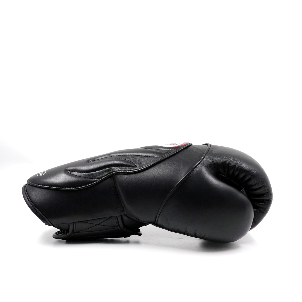 gants-de-boxe-twins-bgvl6