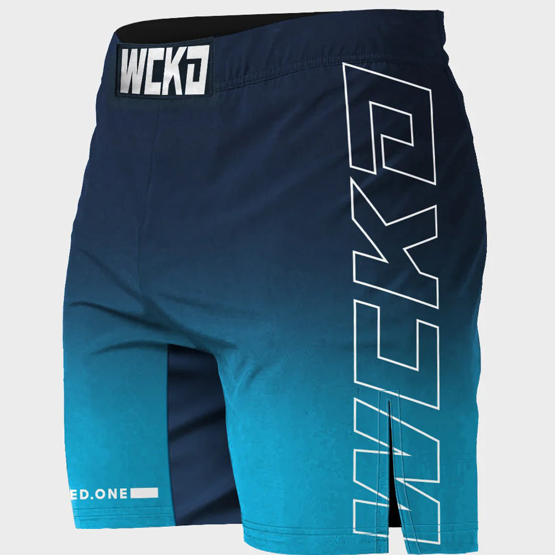short mma raw bleu wicked one