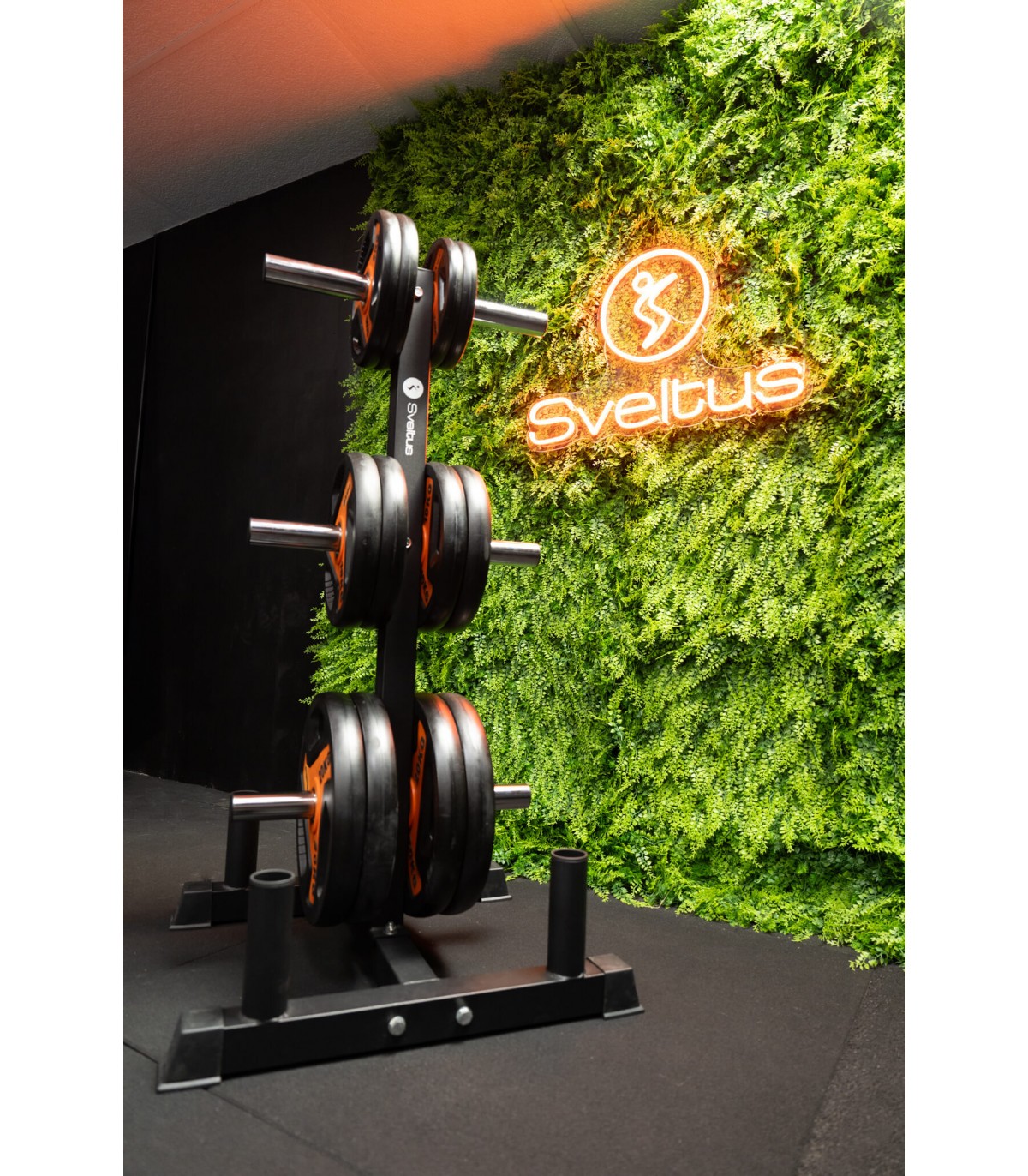 rack-disque-barre-olympiqu-sveltus