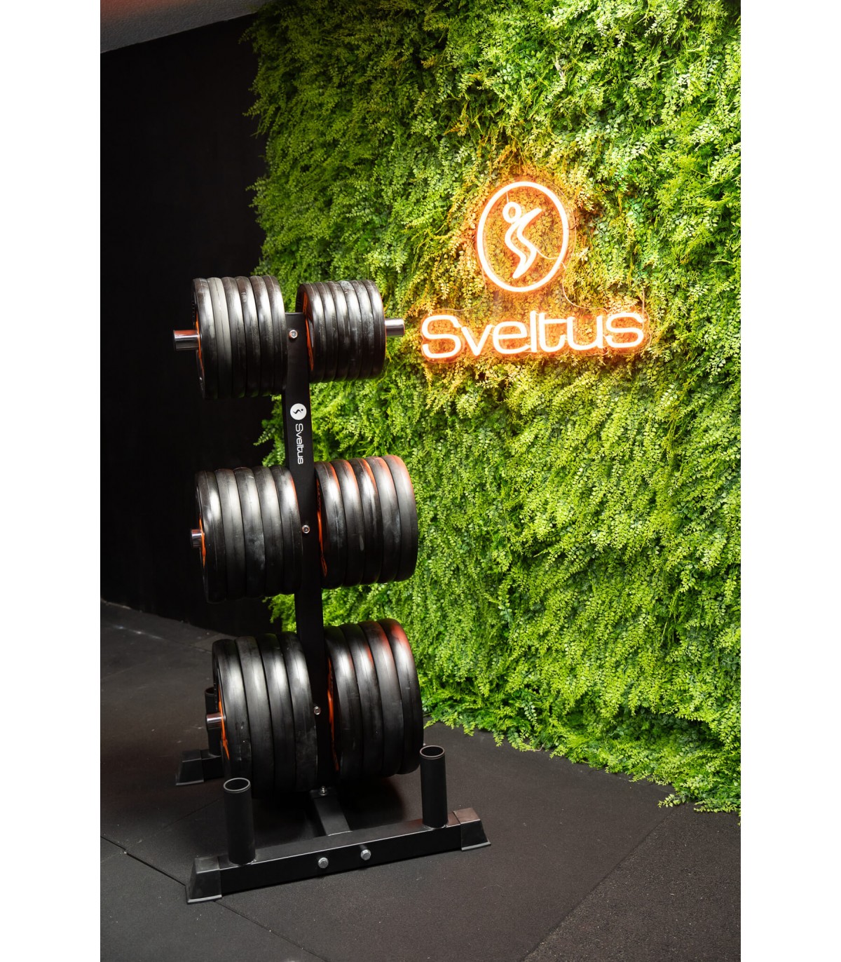 rak-disque-barre-olympiqu-sveltus
