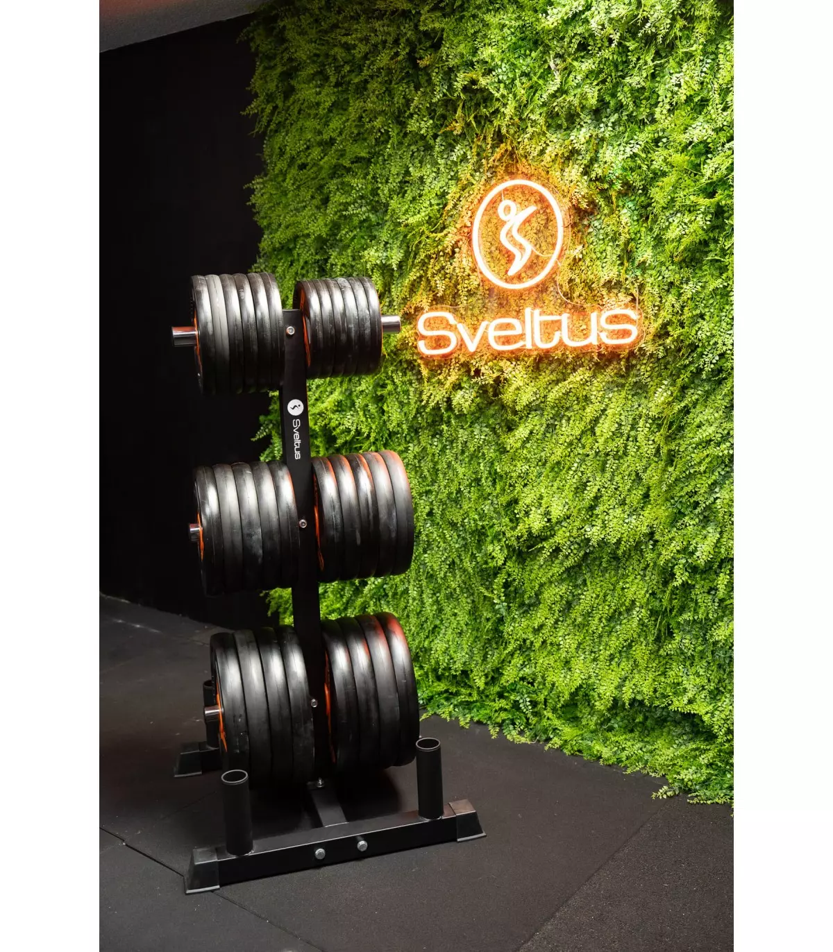 rak-disque-barre-olympiqu-sveltus