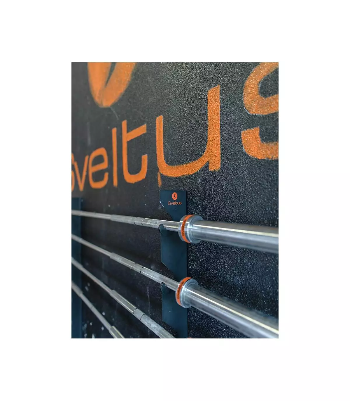 rack-barres-murale-sveltus