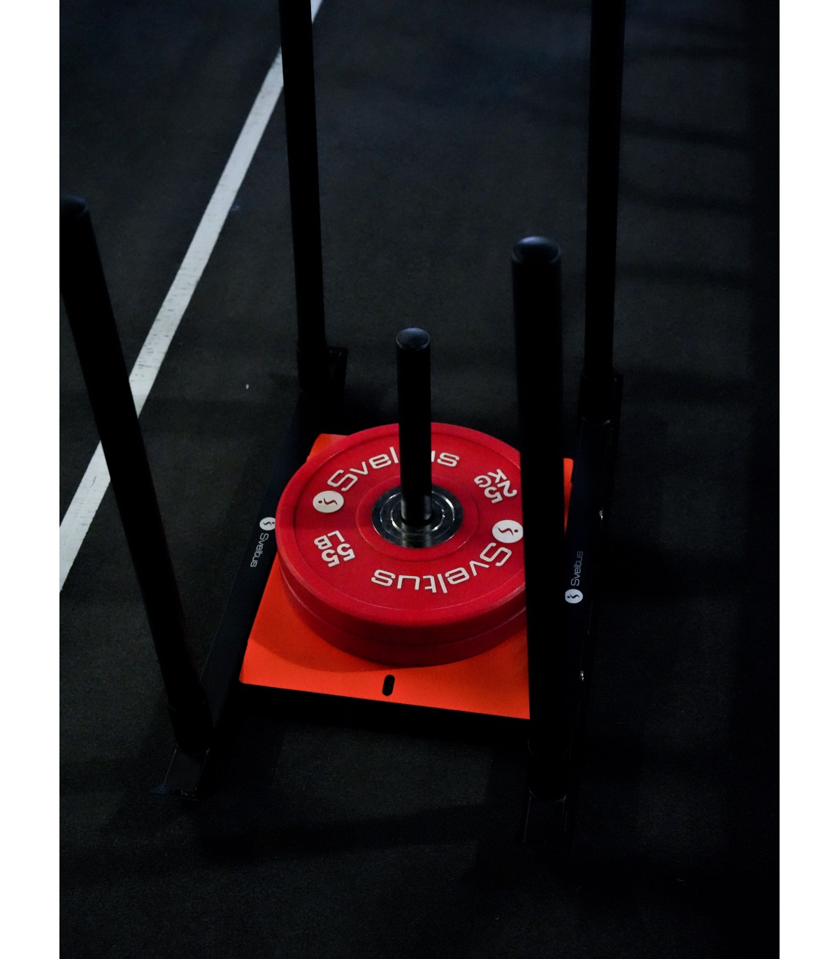 trainau-puissance-sveltus-4552