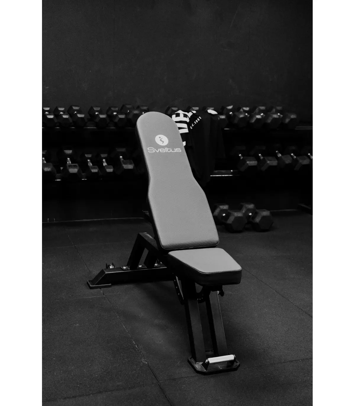 banc-sveltus-training-v2