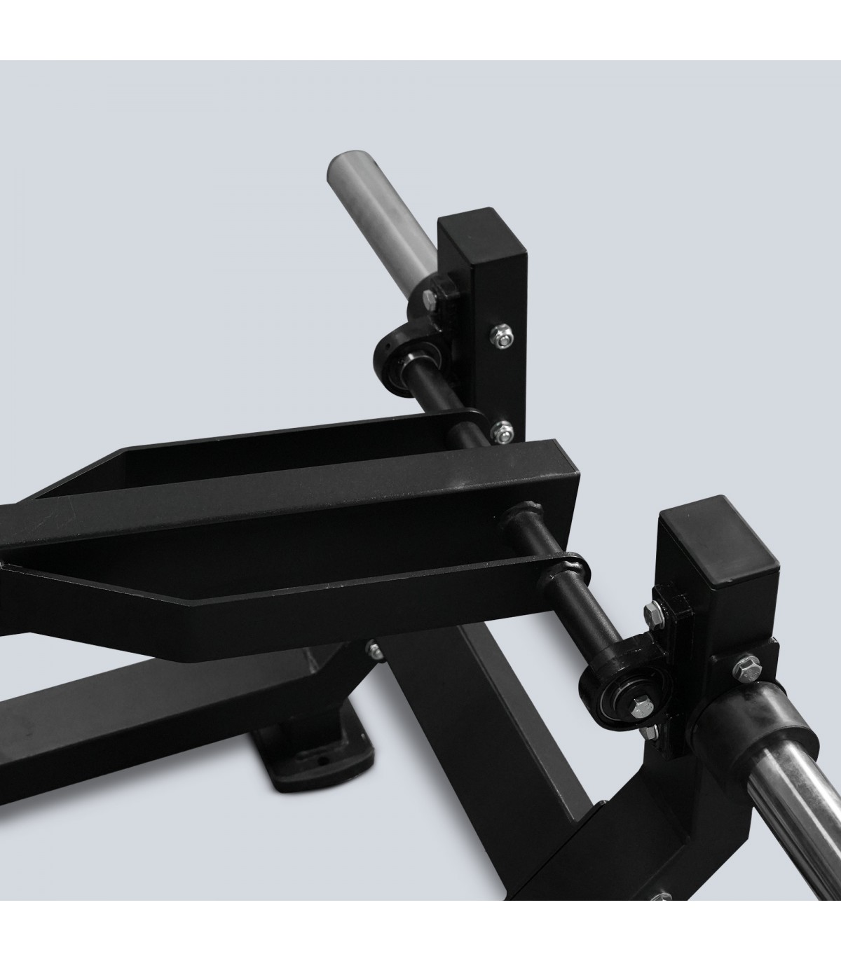 belt-sveltus-squat-m2005