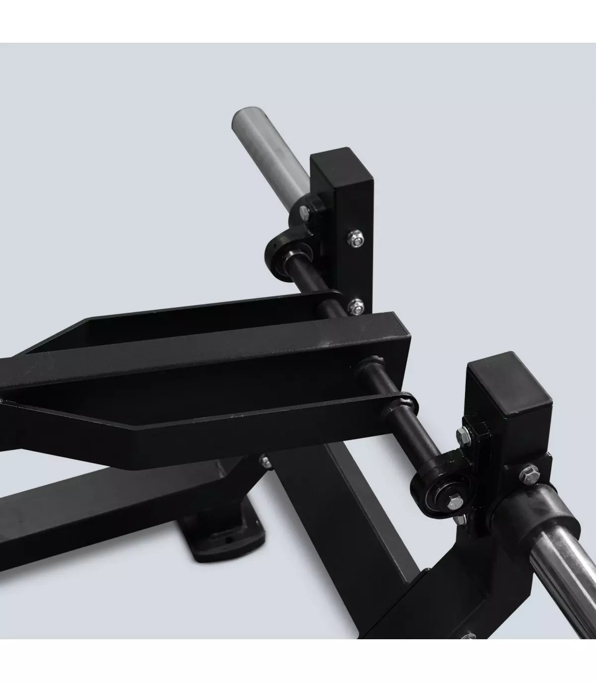 belt-sveltus-squat-m2005