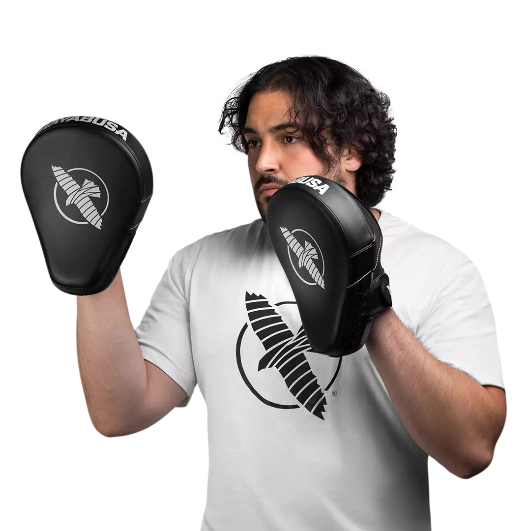 hayabusa-patte-d-ours-boxe-pts3
