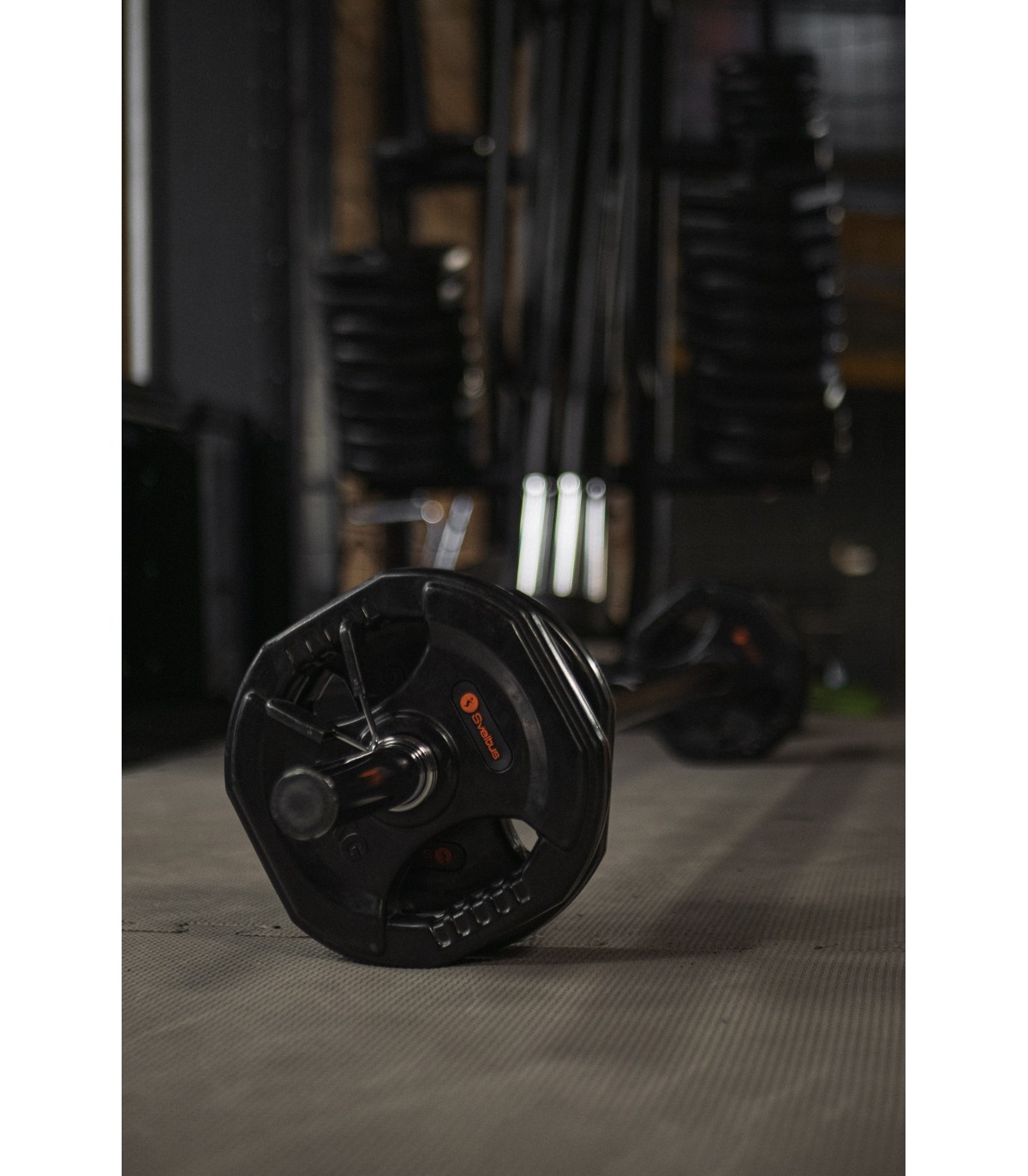kit-pump-sveltus-10-barre-stop-disque-poids