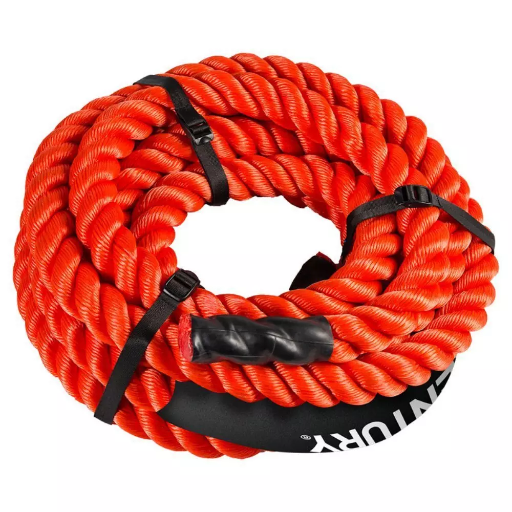 corde_ondulatoire_century