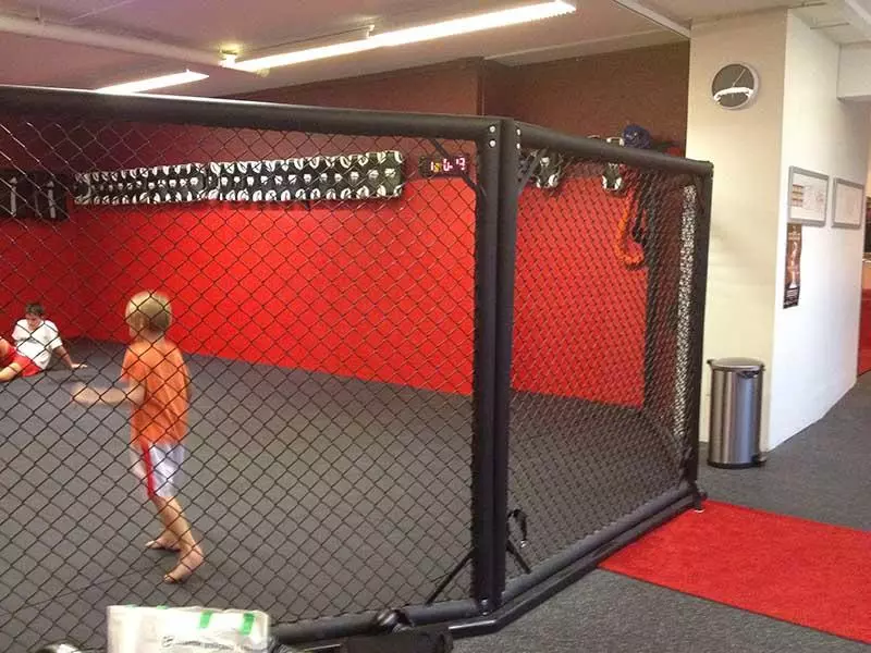 cage_murale