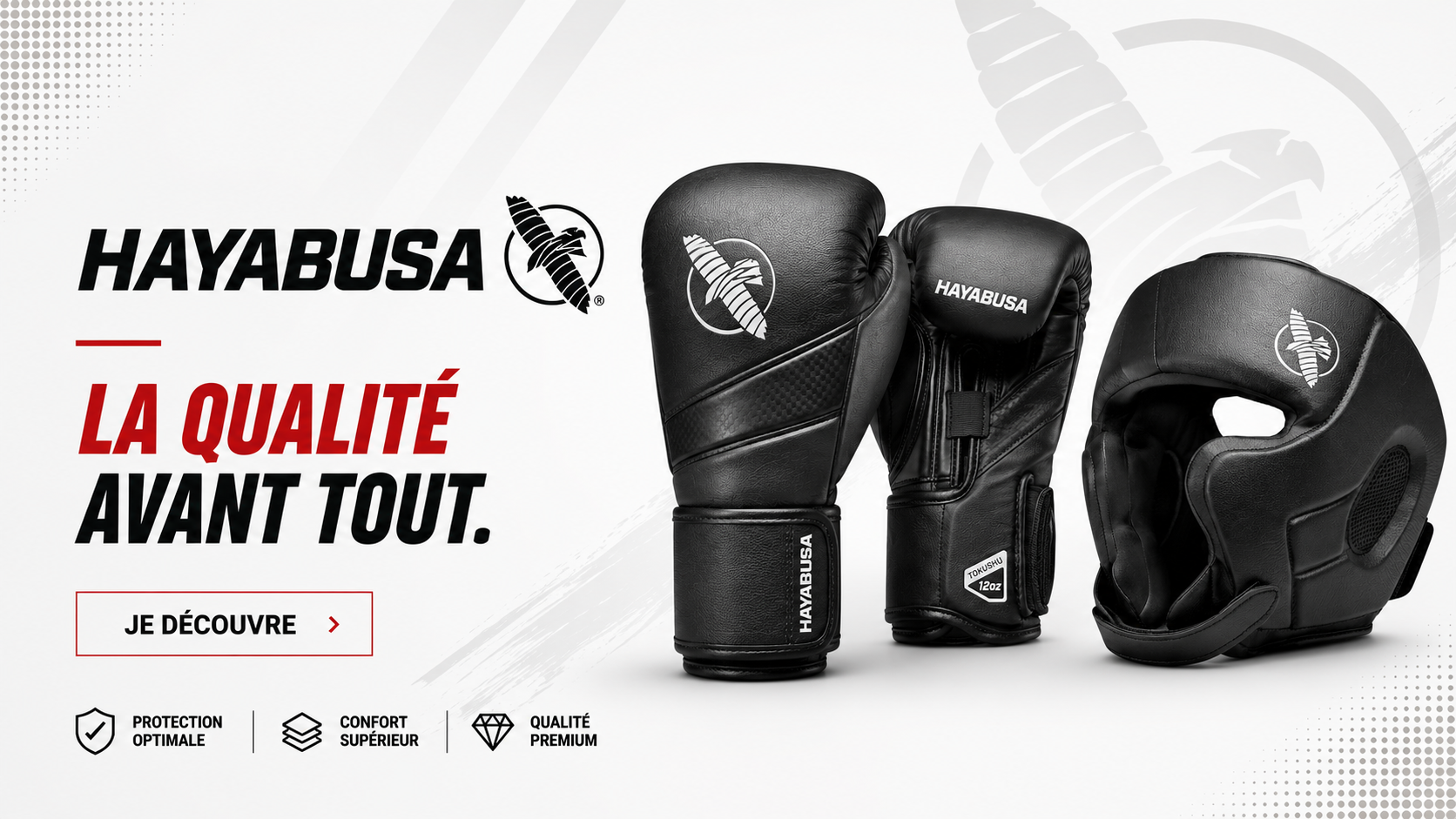 hayabusa