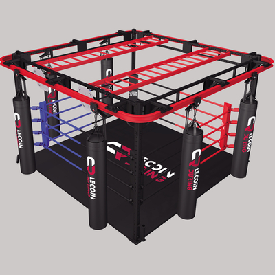 ring-de-boxe-xtrem-training
